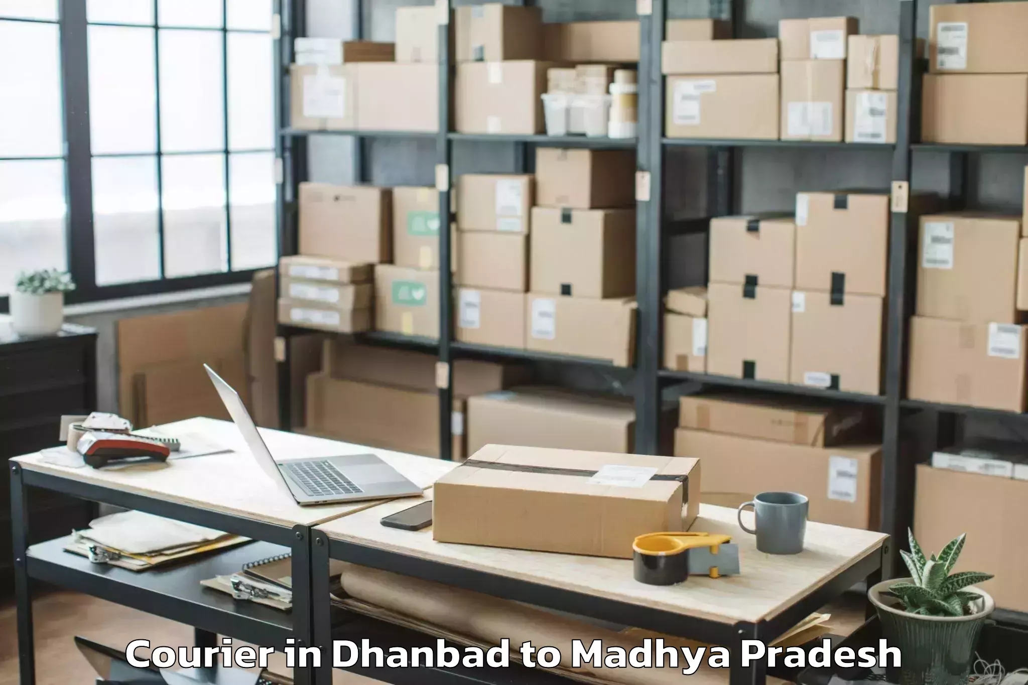 Get Dhanbad to Harsud Courier